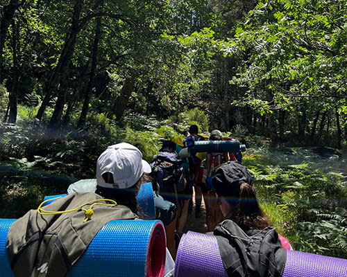 Actividad Scout 6